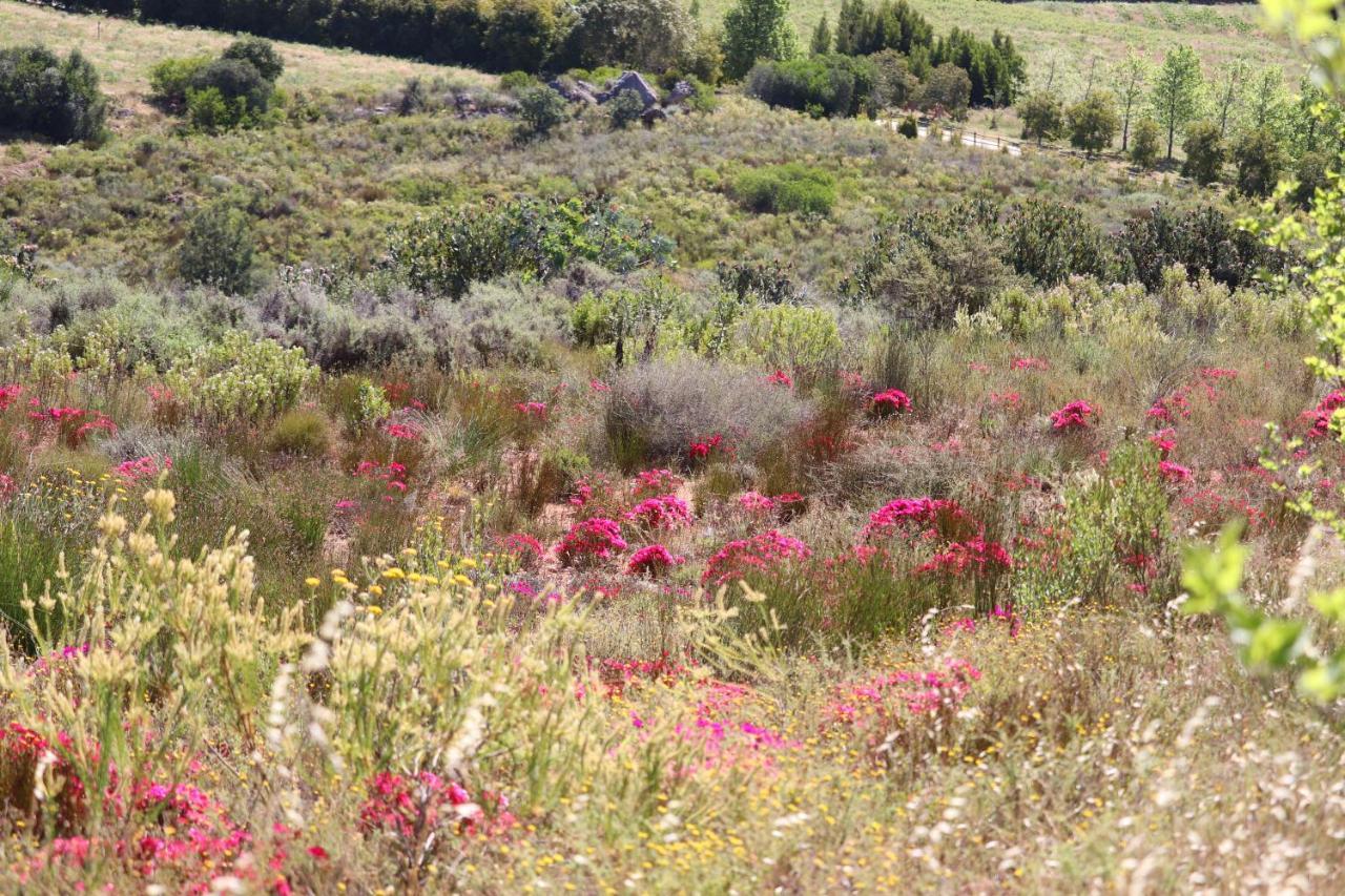 Highlands Eco Estate Hotel Piketberg Bagian luar foto