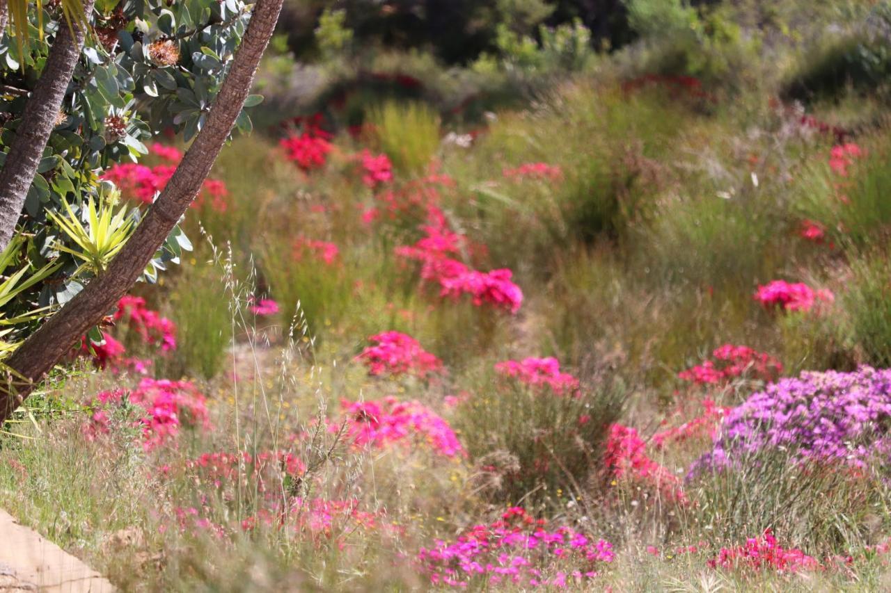 Highlands Eco Estate Hotel Piketberg Bagian luar foto