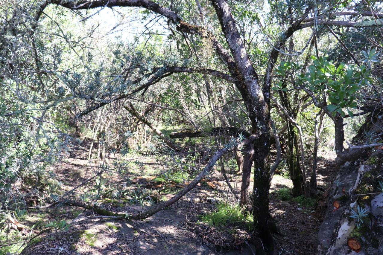 Highlands Eco Estate Hotel Piketberg Bagian luar foto
