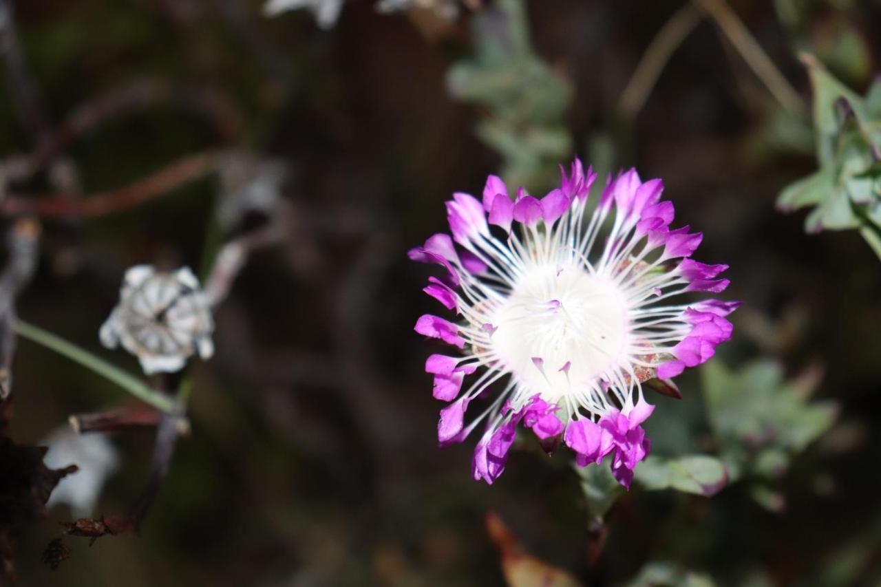 Highlands Eco Estate Hotel Piketberg Bagian luar foto