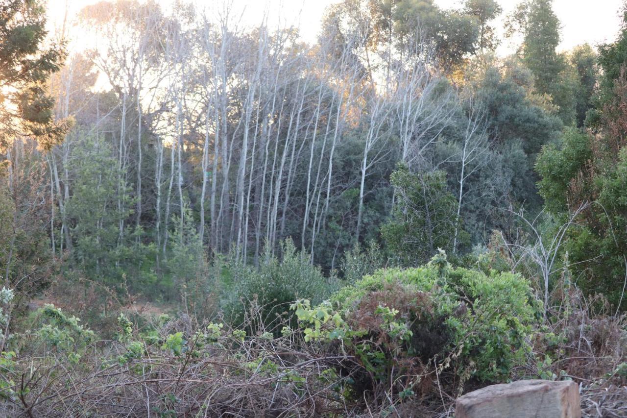 Highlands Eco Estate Hotel Piketberg Bagian luar foto