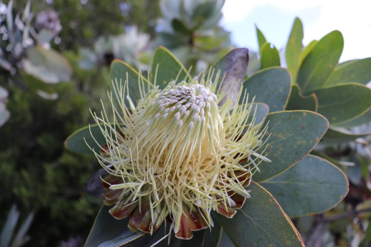 Highlands Eco Estate Hotel Piketberg Bagian luar foto